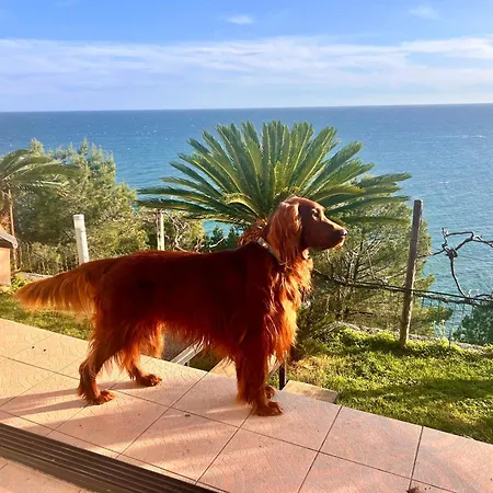 La Finestra Sul Mare *
