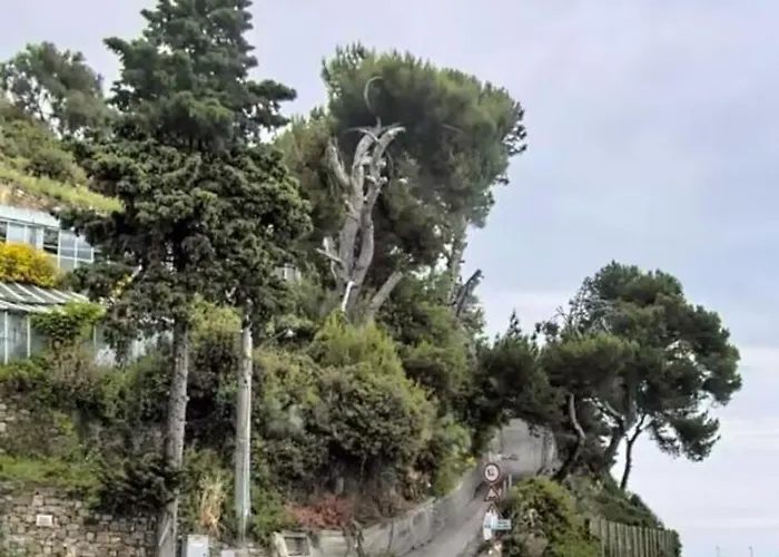 Lejlighed La Finestra Sul Mare Poggi